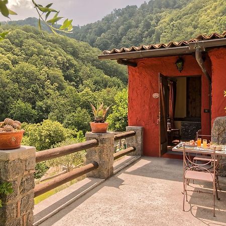Agriturismo Pera Di Basso Casamicciola Terme Eksteriør billede