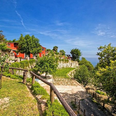 Agriturismo Pera Di Basso Casamicciola Terme Eksteriør billede