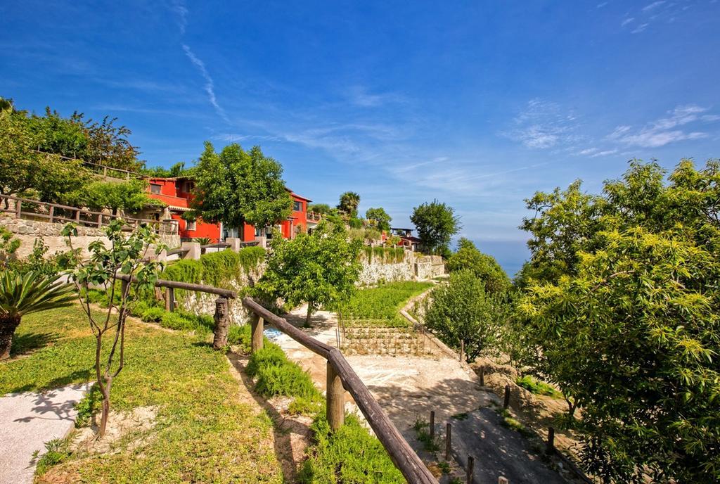 Agriturismo Pera Di Basso Casamicciola Terme Eksteriør billede