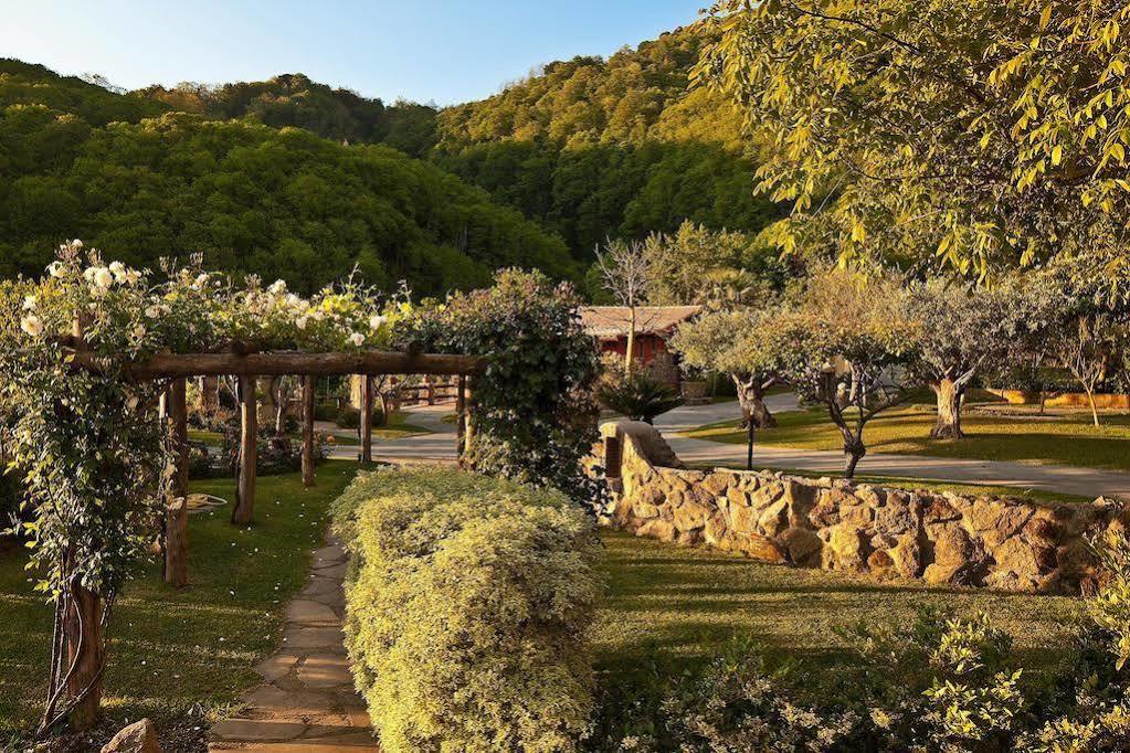 Agriturismo Pera Di Basso Casamicciola Terme Eksteriør billede